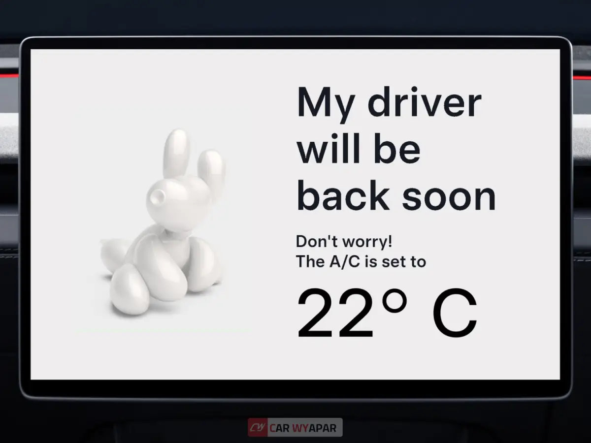 Tesla Model Y Top Feature
